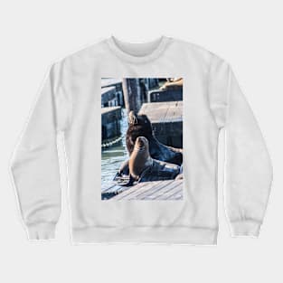 Male And Female Sea Lion Crewneck Sweatshirt